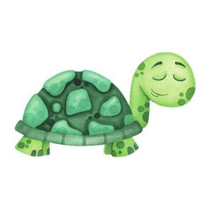 Turtle tortoise cookie cutter