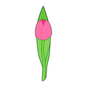 Closed tulip flower 2 cookie cutter and stamp